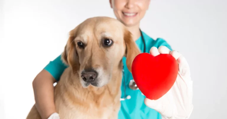 ดูแลสุขภาพสุนัข